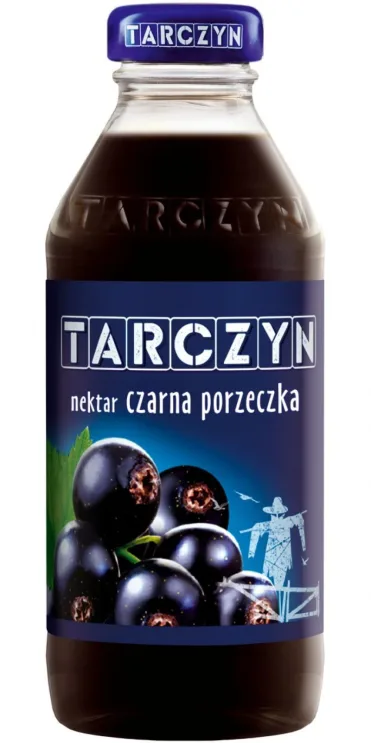 Nektar czarna porzeczka 300 ml