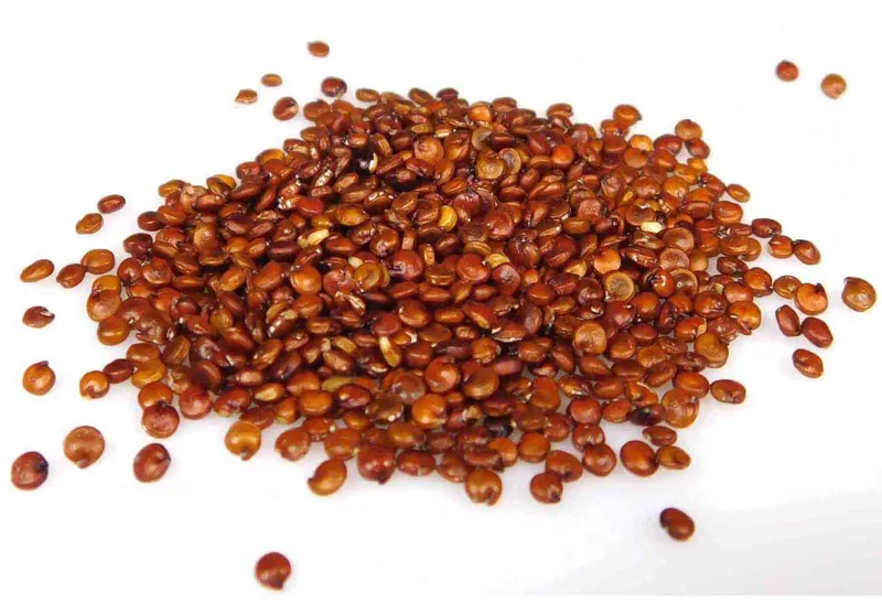 Komosa ryżowa czerwona quinoa 5 kg