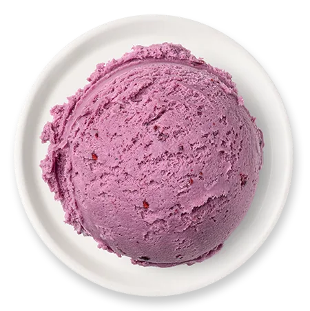Lody o smaku owoców leśnych w kuwecie 5 l