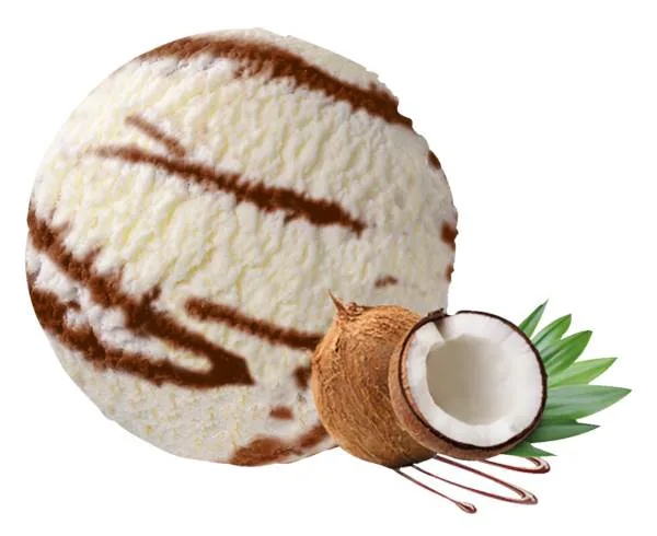 Lody kokosowe w kuwecie 5 l