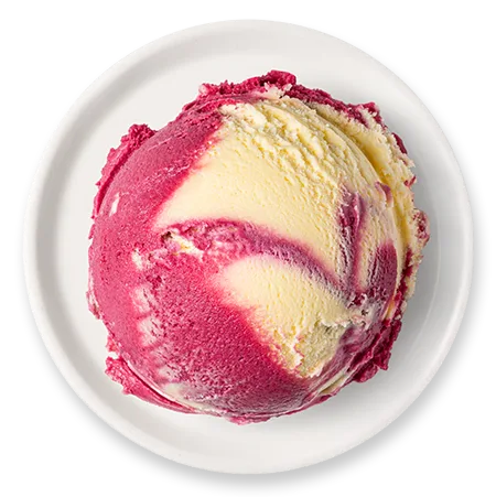 Lody waniliowe z sorbetem porzeczkowym w kuwecie 5 l