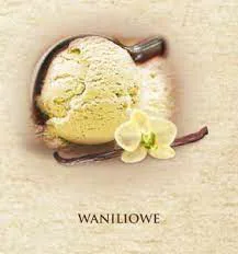 Lody waniliowe w kuwecie 5 l
