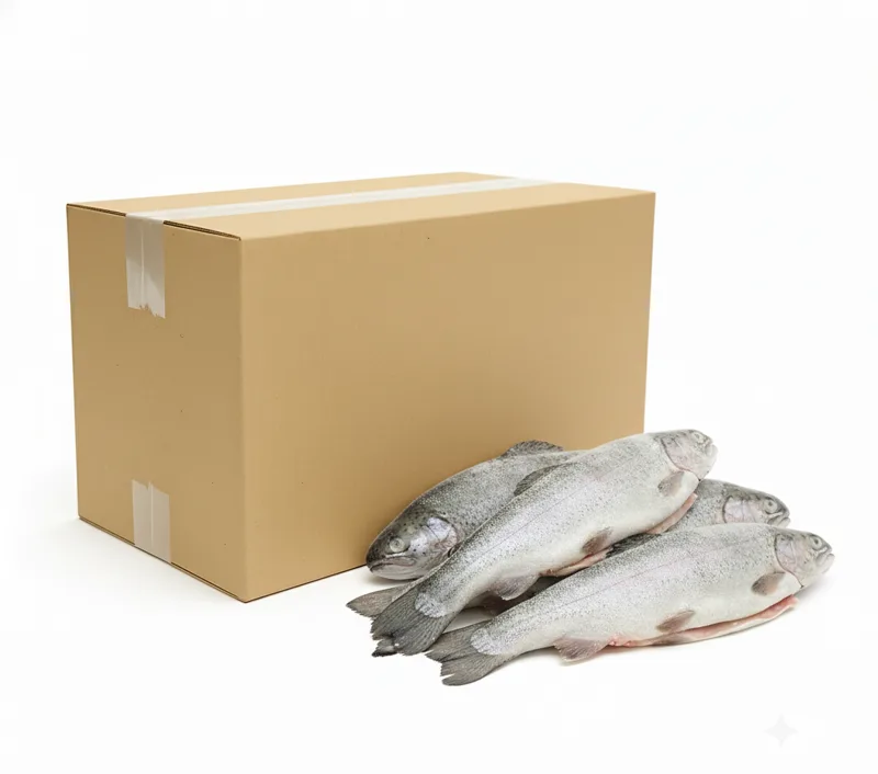 Pstrąg patroszony z głową niebarwiony mrożony IQF (250-300 g) 5 kg (4,5 kg bez glazury)