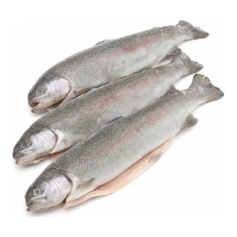 Pstrąg patroszony z głową niebarwiony mrożony IQF (250-300 g) 5 kg (4,5 kg bez glazury)