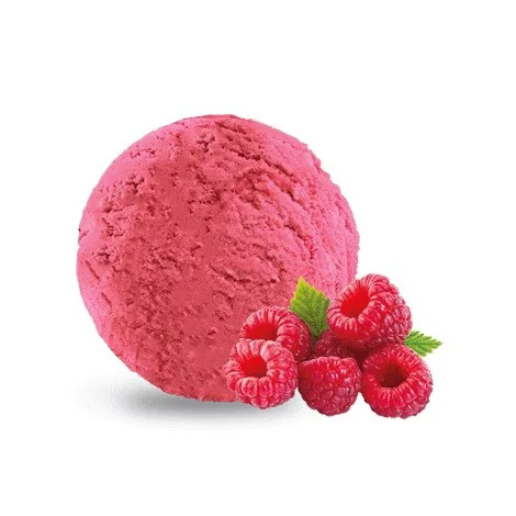 Sorbet malinowy 5 l