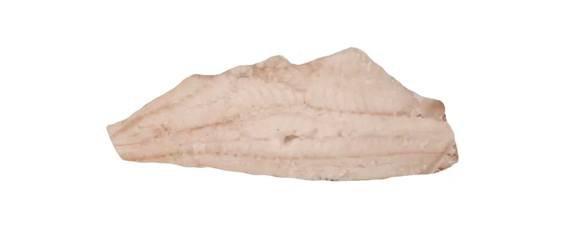Dorsz czarny filet bez skóry PBI mrożony SHP (225-450 g) 6,8 kg