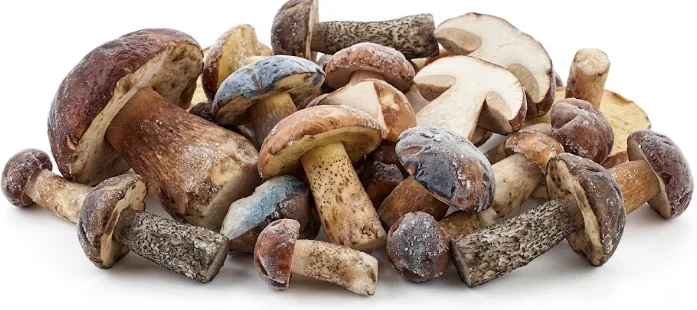 Mieszanka grzybów mrożonych 2,5 kg