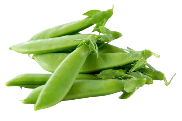 Groszek cukrowy mrożony 2,5 kg
