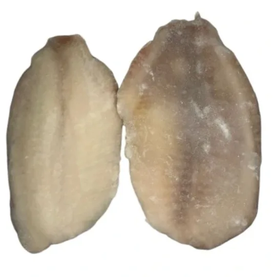 Tilapia nilowa filet bez skóry mrożony IQF (250-310 g) 5 kg (3,5 kg bez glazury)