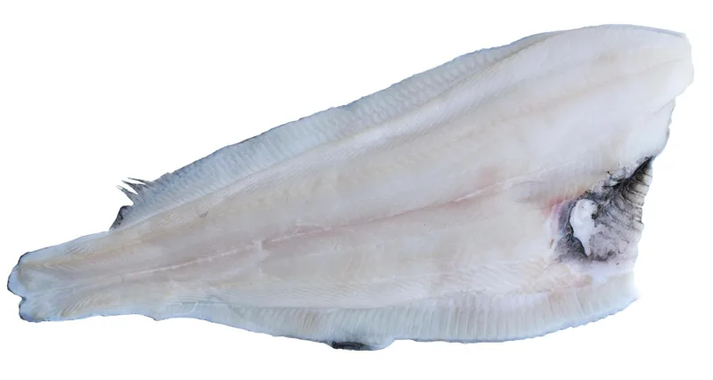 Halibut filet ze skórą IQF 20% 400-800 g 10 kg