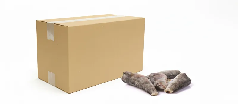 Nototenia tusza mrożona IQF (100-250 g) 5 kg (4,25 kg bez glazury)