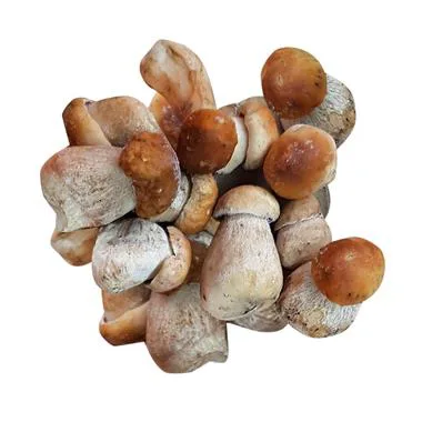 Borowik cały 2,5 kg