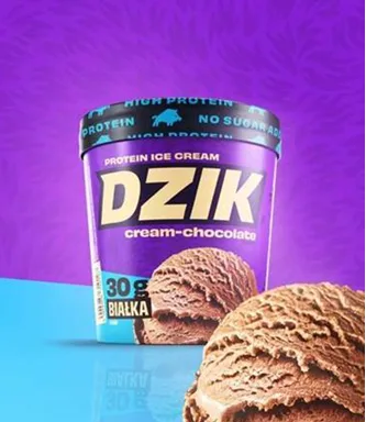 Lody Dzik czekolada 500 ml