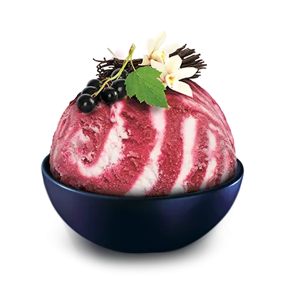 Lody waniliowo-porzeczkowe w kuwecie 5 l