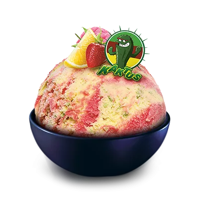 Lody cytrynowo-truskawkowe Kaktus w kuwecie 5 l