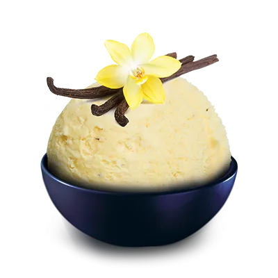 Lody waniliowe w kuwecie 5 l